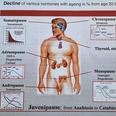 JUVENIPAUSE Anabiosis to Catabiosis